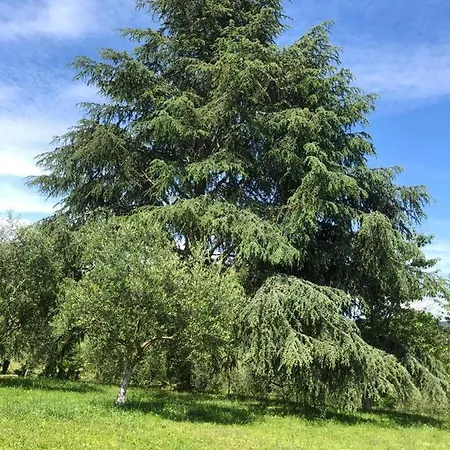 Da Fazanca Venkovský dům Eremo (Rome)